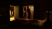 Unforgettable CSI : Manhattan - Photos 