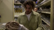Unforgettable CSI : Manhattan - Photos 